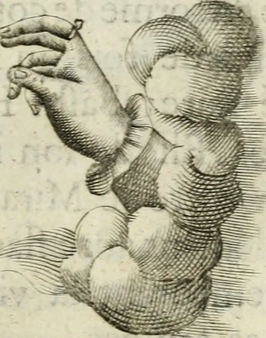An illustration from Devises heroiques et emblemes, 1622, leaf 214