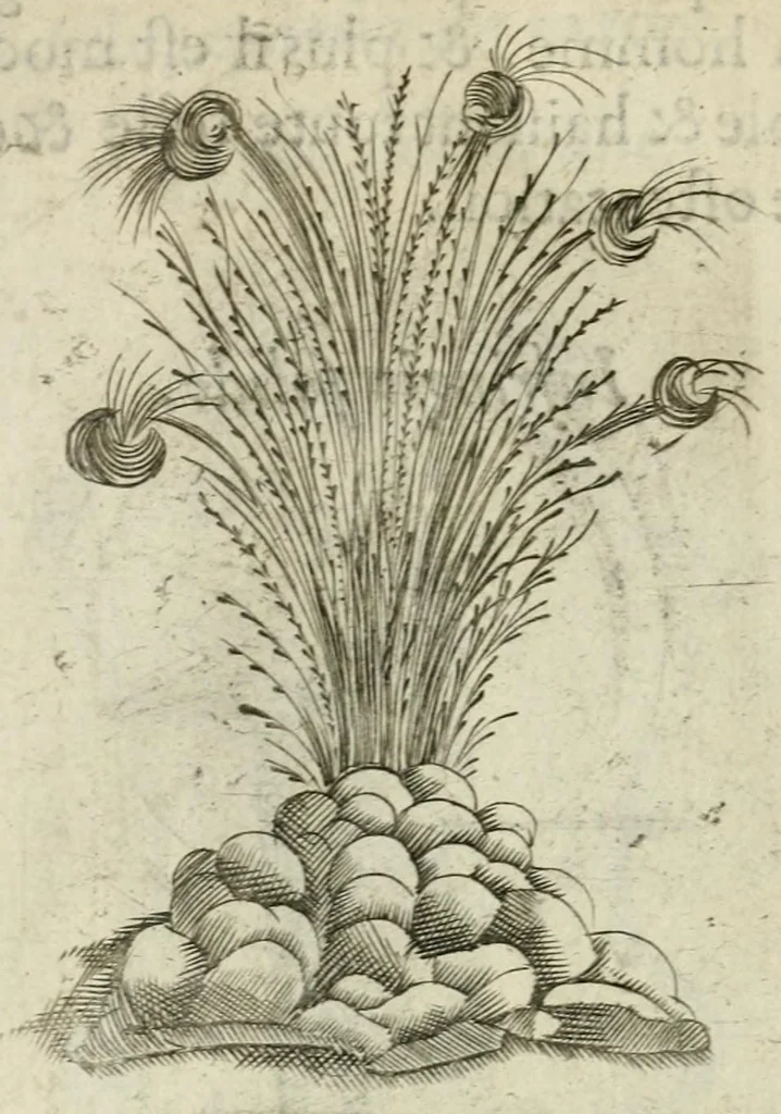 An illustration from Devises heroiques et emblemes, 1622, leaf 222