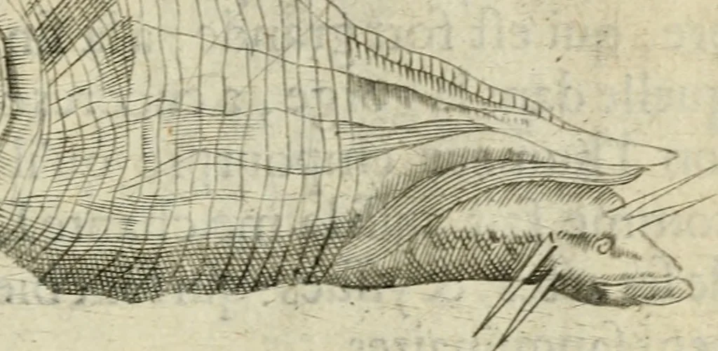 An illustration from Devises heroiques et emblemes, 1622, leaf 224