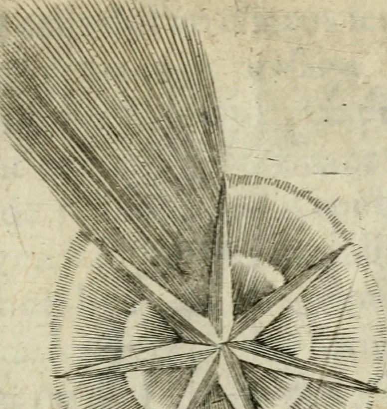 An illustration from Devises heroiques et emblemes, 1622, leaf 226