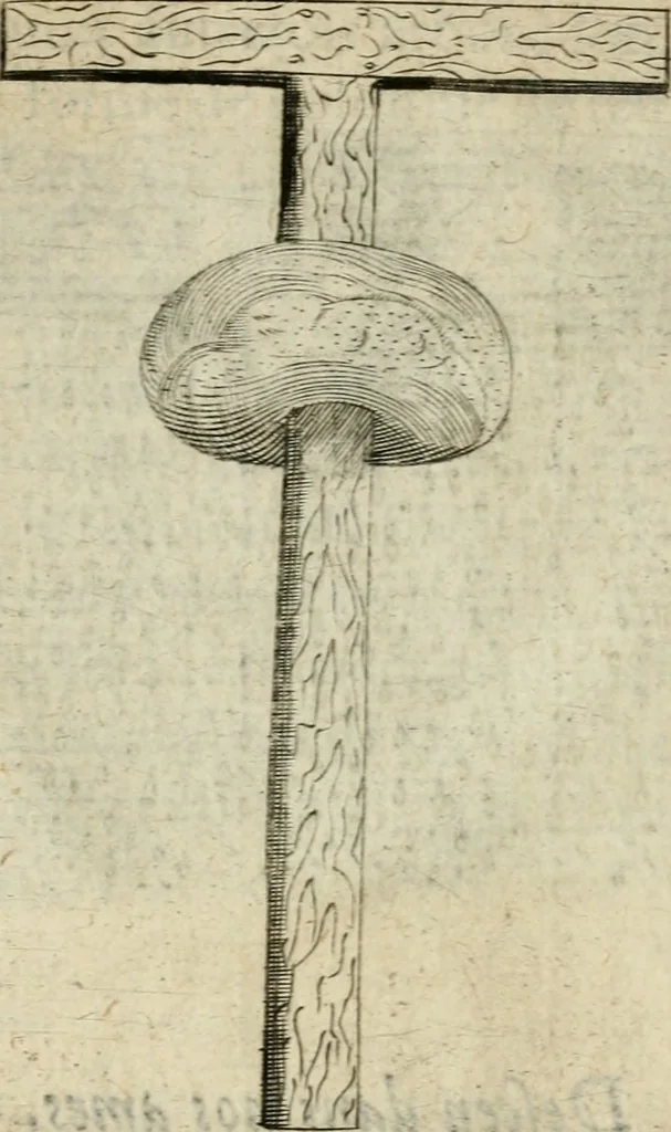 An illustration from Devises heroiques et emblemes, 1622, leaf 24