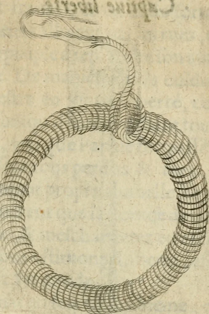 An illustration from Devises heroiques et emblemes, 1622, leaf 240