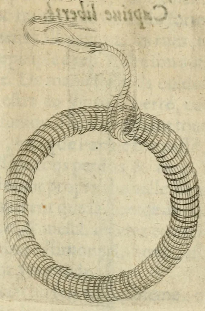 An illustration from Devises heroiques et emblemes, 1622, leaf 241