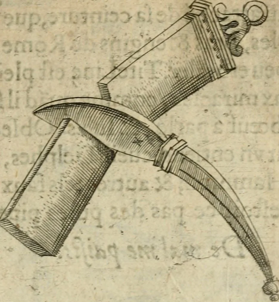 An illustration from Devises heroiques et emblemes, 1622, leaf 244