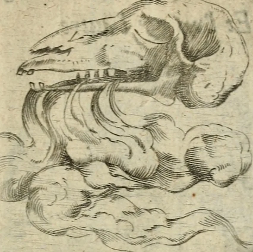 An illustration from Devises heroiques et emblemes, 1622, leaf 246