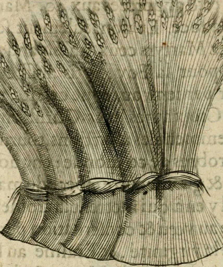 An illustration from Devises heroiques et emblemes, 1622, leaf 265