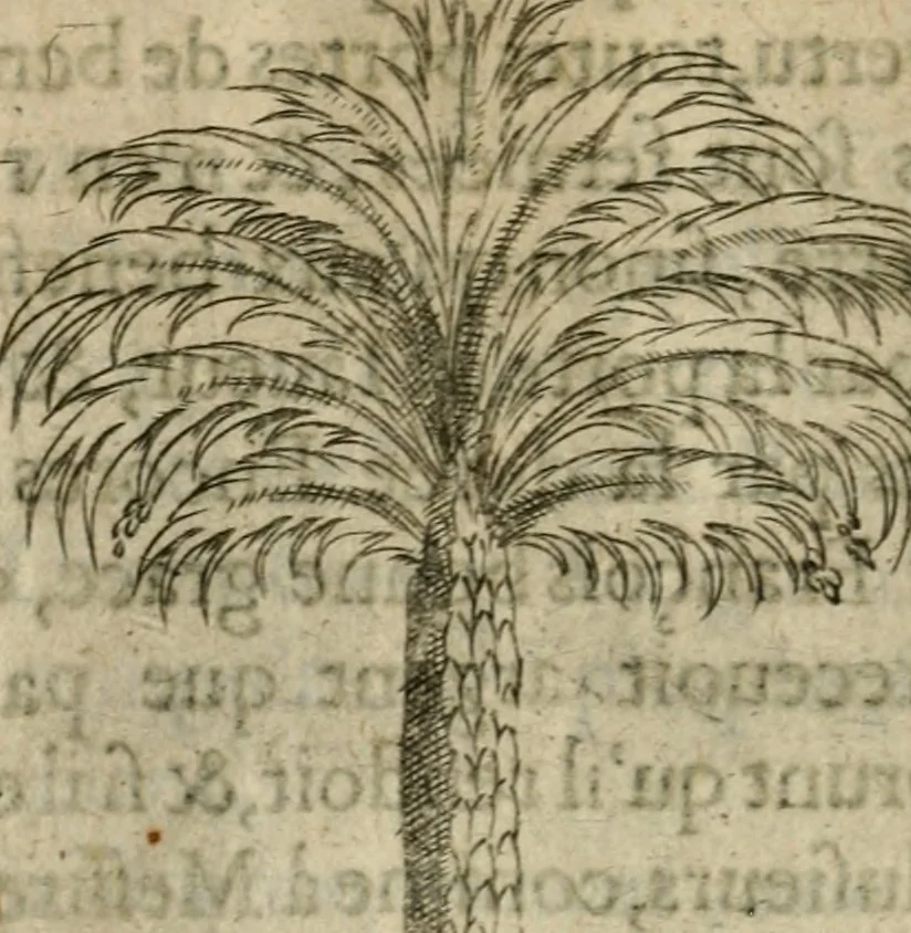 An illustration from Devises heroiques et emblemes, 1622, leaf 271