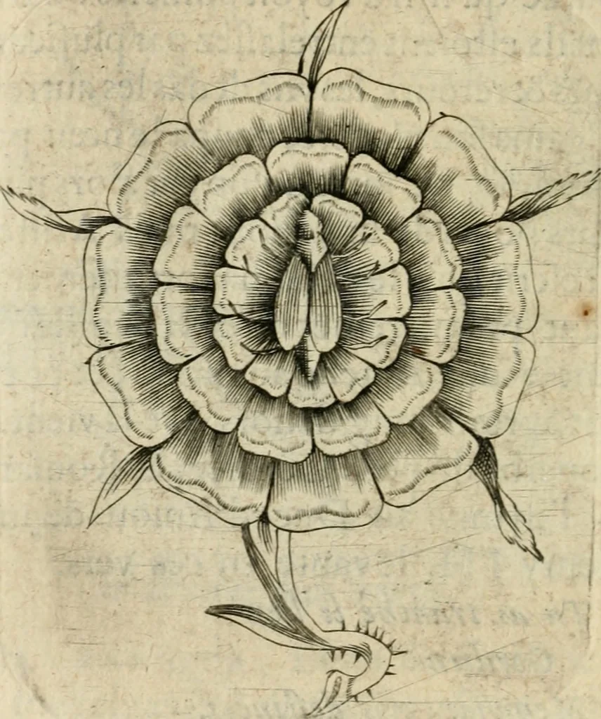 An illustration from Devises heroiques et emblemes, 1622, leaf 289