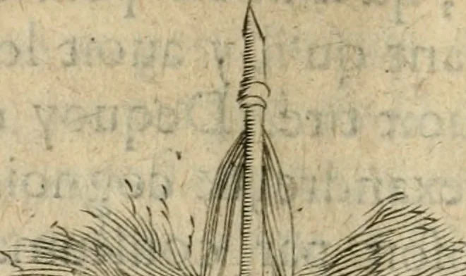 An illustration from Devises heroiques et emblemes, 1622, leaf 299