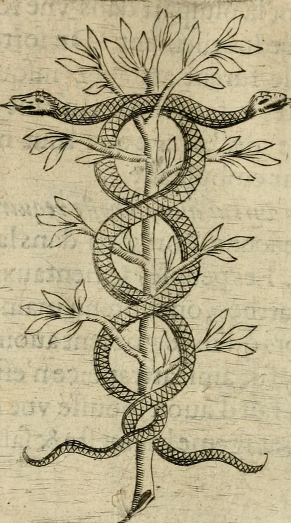 An illustration from Devises heroiques et emblemes, 1622, leaf 305