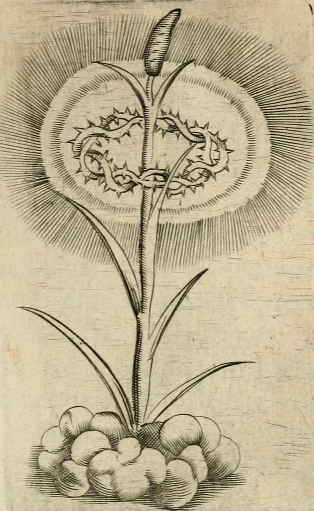 An illustration from Devises heroiques et emblemes, 1622, leaf 314