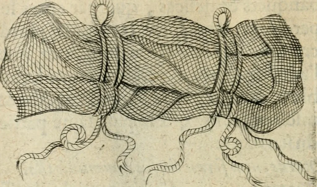 An illustration from Devises heroiques et emblemes, 1622, leaf 321
