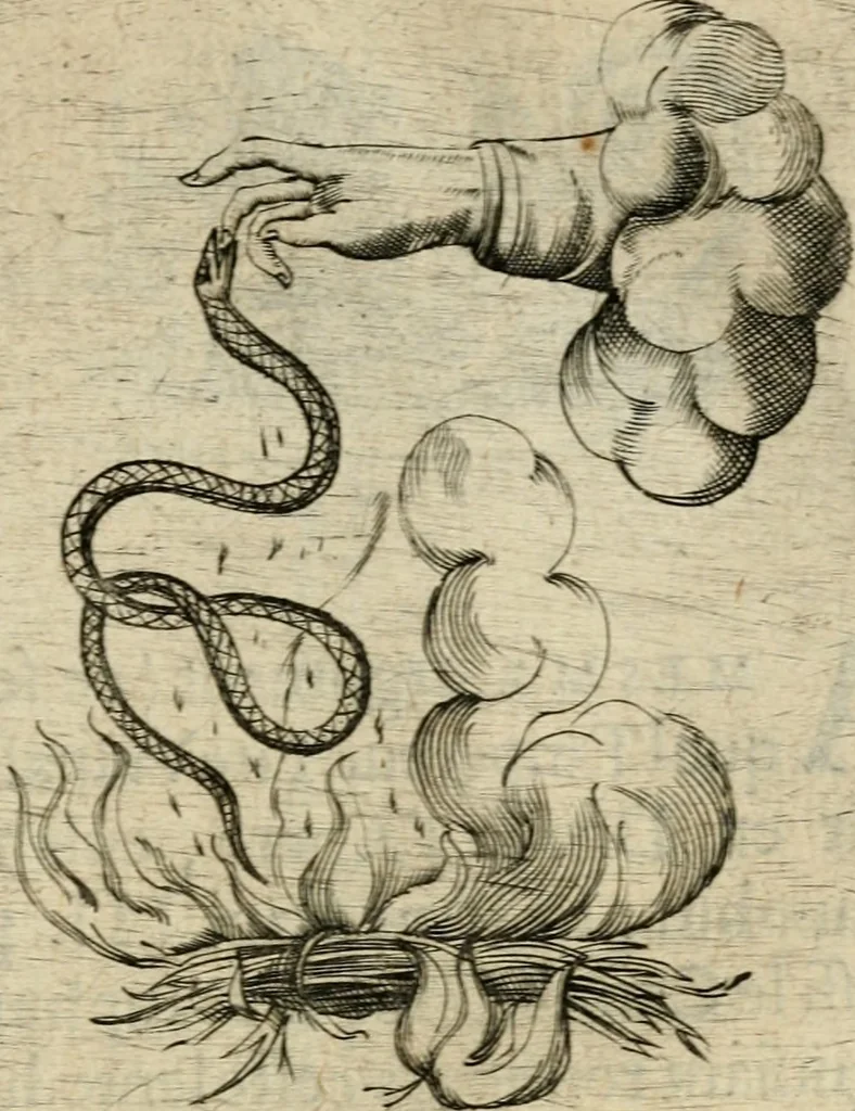 An illustration from Devises heroiques et emblemes, 1622, leaf 324