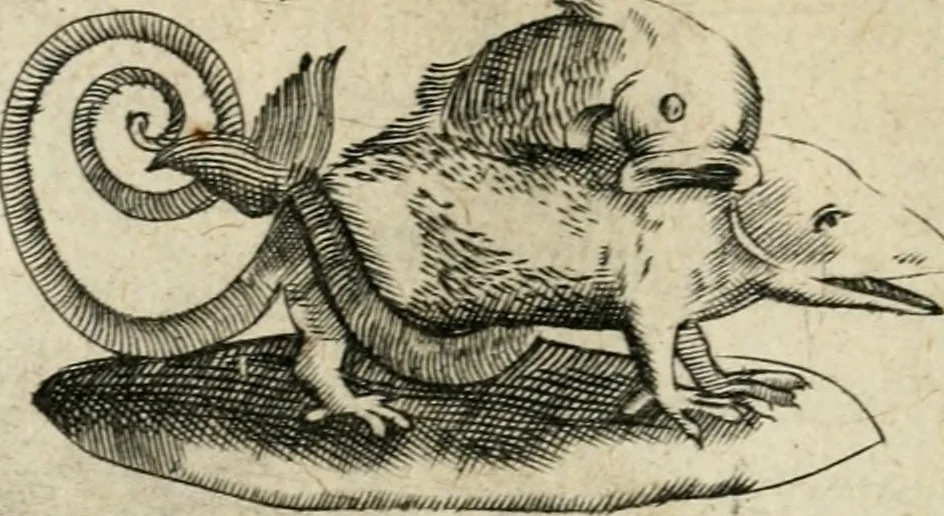 An illustration from Devises heroiques et emblemes, 1622, leaf 325
