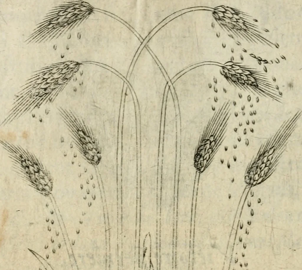 An illustration from Devises heroiques et emblemes, 1622, leaf 347