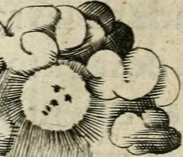 An illustration from Devises heroiques et emblemes, 1622, leaf 60