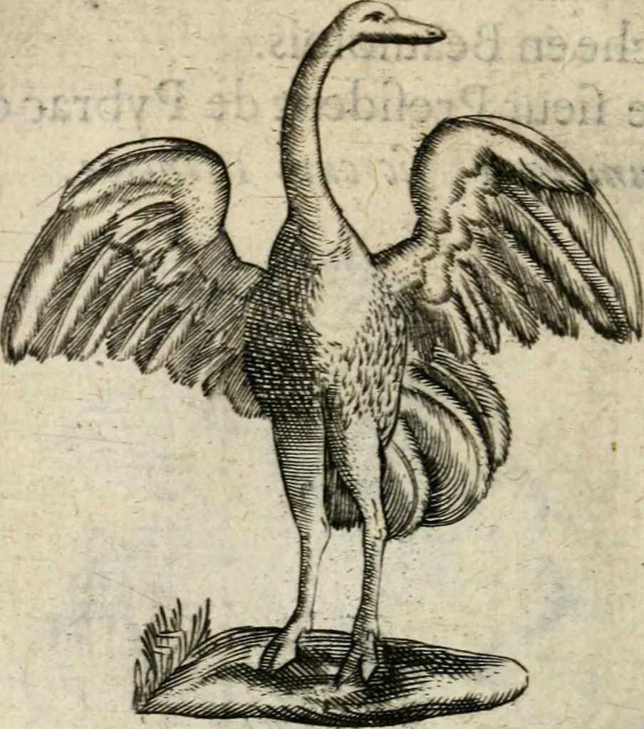 An illustration from Devises heroiques et emblemes, 1622, leaf 71