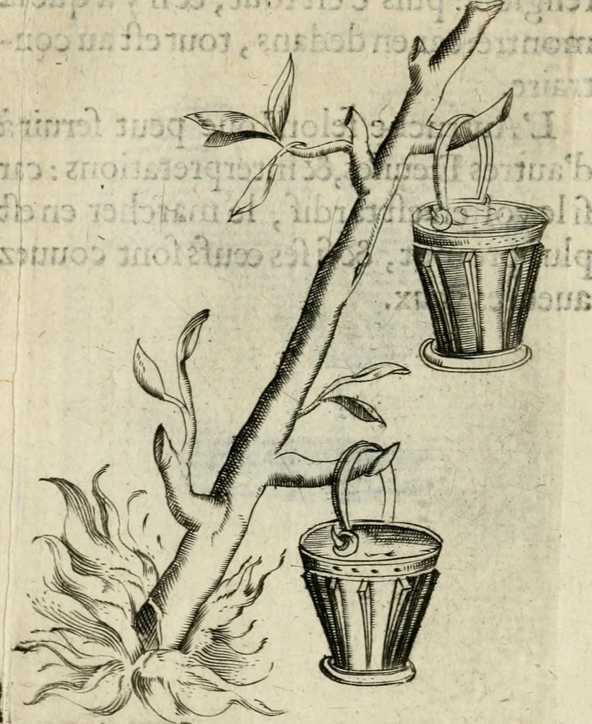 An illustration from Devises heroiques et emblemes, 1622, leaf 73