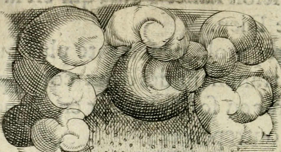 An illustration from Devises heroiques et emblemes, 1622, leaf 81