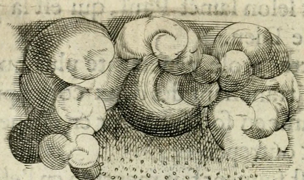 An illustration from Devises heroiques et emblemes, 1622, leaf 82
