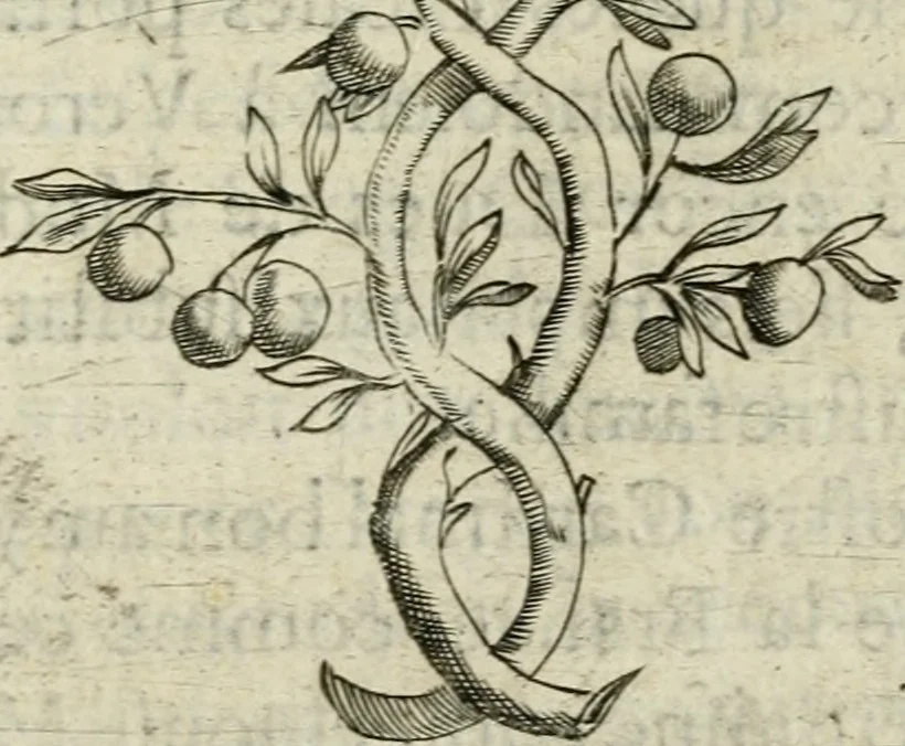 An illustration from Devises heroiques et emblemes, 1622, leaf 84