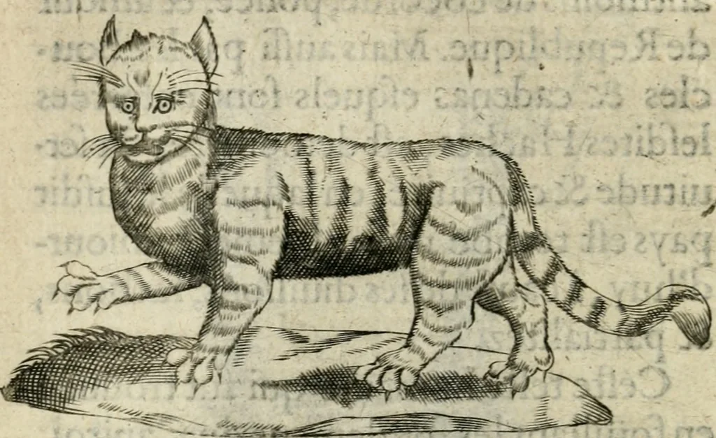 An illustration from Devises heroiques et emblemes, 1622, leaf 93