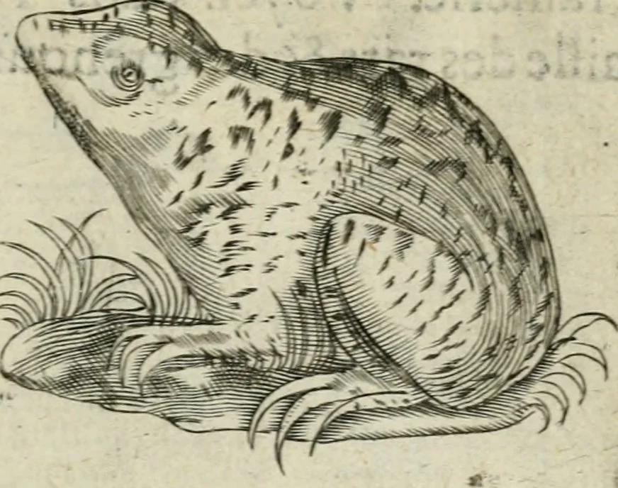 An illustration from Devises heroiques et emblemes, 1622, leaf 94