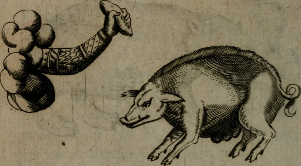 An illustration from Devises heroiques, et emblemes, 1614, leaf 109