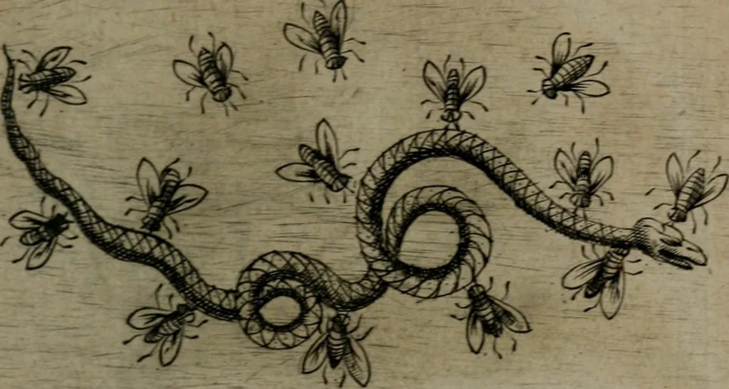 An illustration from Devises heroiques, et emblemes, 1614, leaf 116