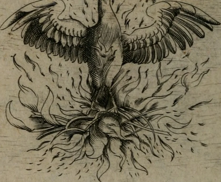 An illustration from Devises heroiques, et emblemes, 1614, leaf 123