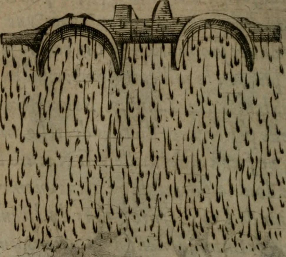 An illustration from Devises heroiques, et emblemes, 1614, leaf 153