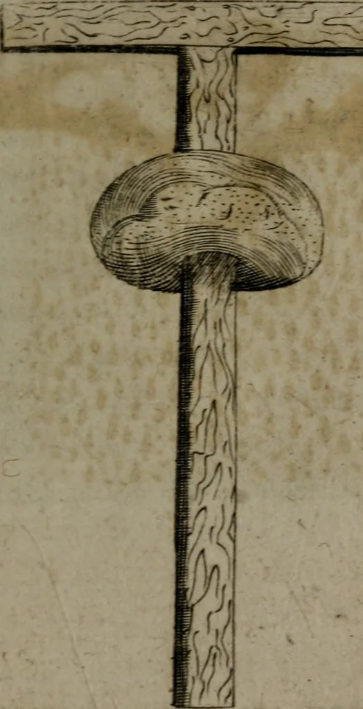 An illustration from Devises heroiques, et emblemes, 1614, leaf 16