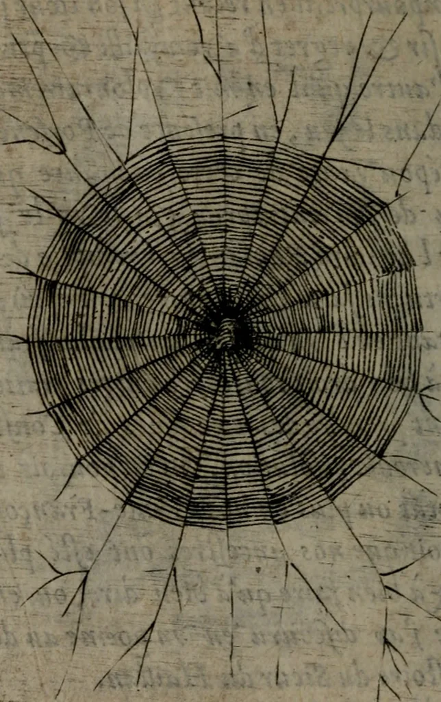 An illustration from Devises heroiques, et emblemes, 1614, leaf 169
