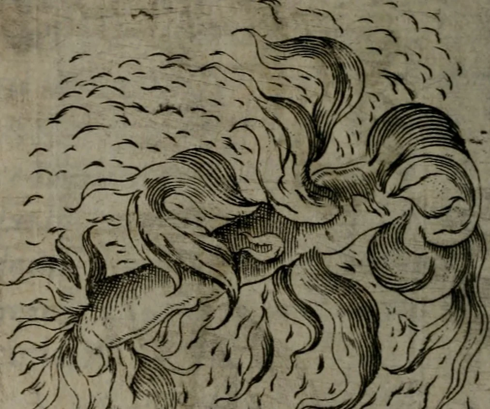 An illustration from Devises heroiques, et emblemes, 1614, leaf 187