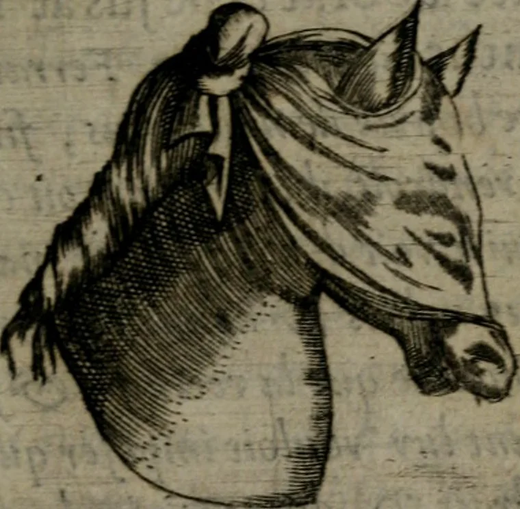 An illustration from Devises heroiques, et emblemes, 1614, leaf 188