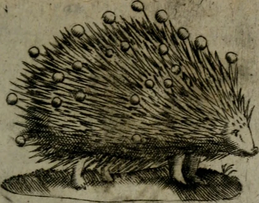 An illustration from Devises heroiques, et emblemes, 1614, leaf 190