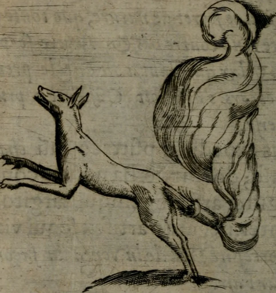 An illustration from Devises heroiques, et emblemes, 1614, leaf 193