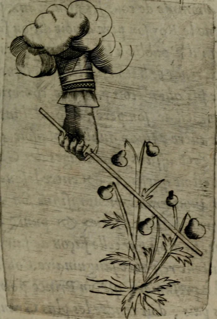An illustration from Devises heroiques, et emblemes, 1614, leaf 194