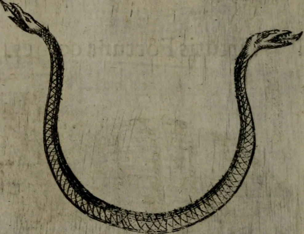 An illustration from Devises heroiques, et emblemes, 1614, leaf 199