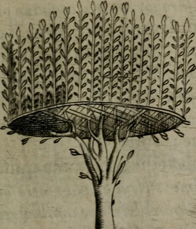 An illustration from Devises heroiques, et emblemes, 1614, leaf 202