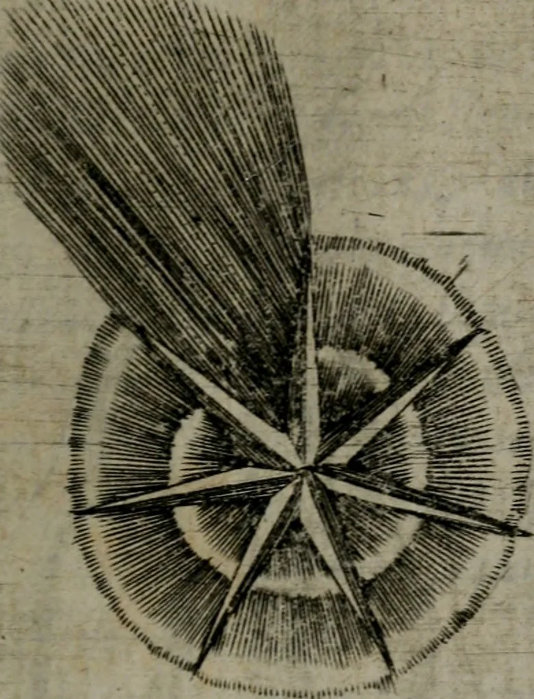 An illustration from Devises heroiques, et emblemes, 1614, leaf 218