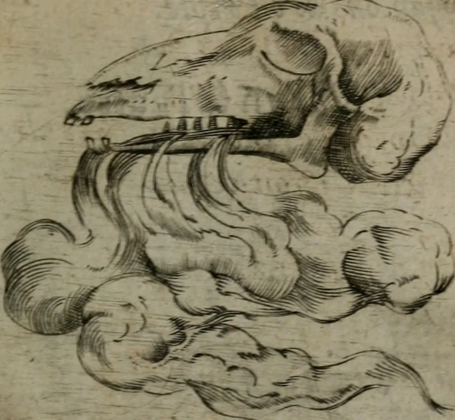 An illustration from Devises heroiques, et emblemes, 1614, leaf 238