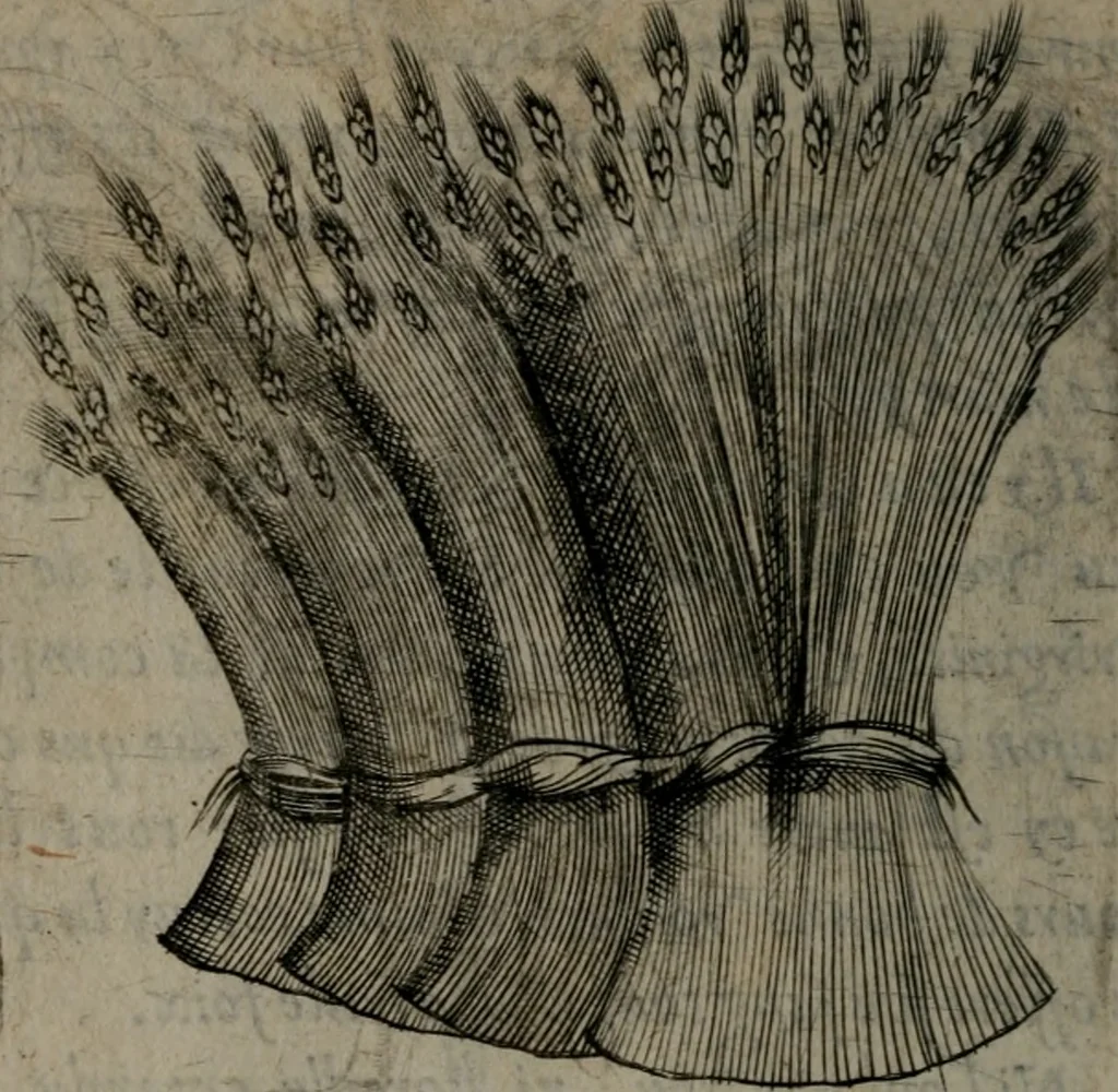 An illustration from Devises heroiques, et emblemes, 1614, leaf 257