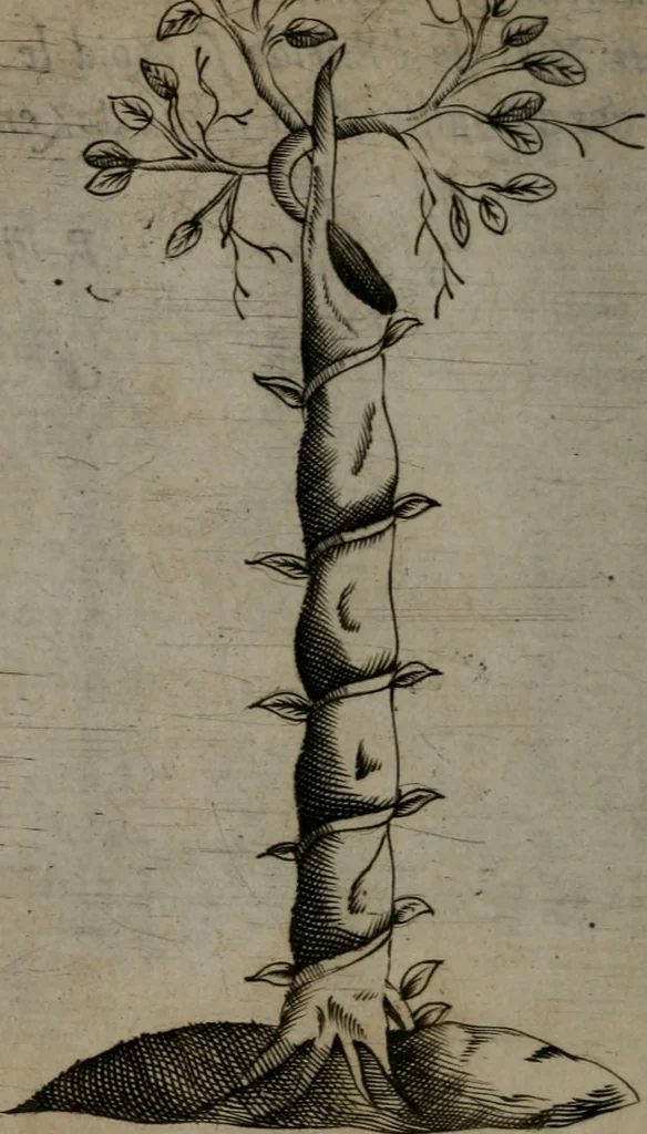 An illustration from Devises heroiques, et emblemes, 1614, leaf 269