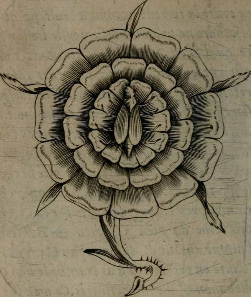 An illustration from Devises heroiques, et emblemes, 1614, leaf 281