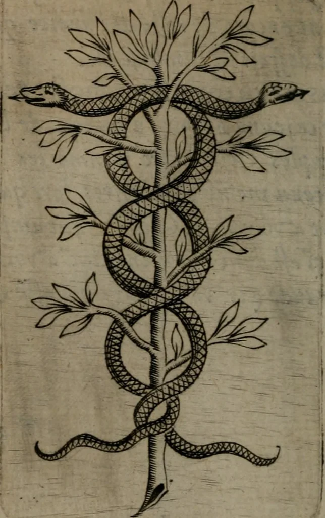 An illustration from Devises heroiques, et emblemes, 1614, leaf 299