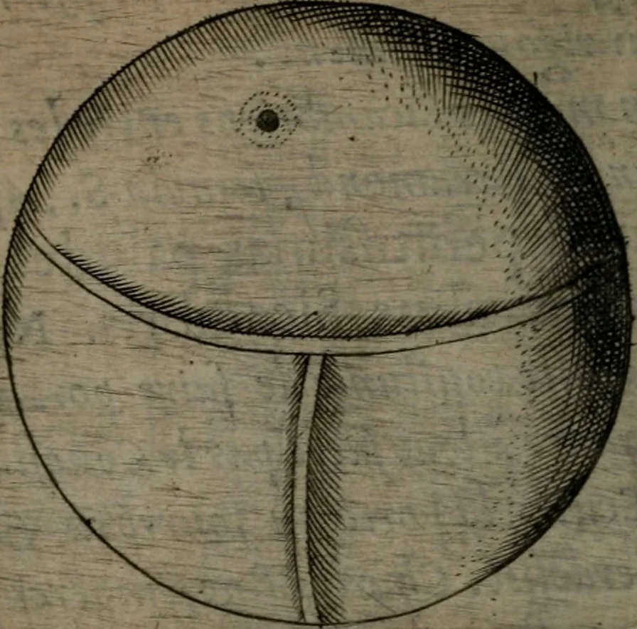 An illustration from Devises heroiques, et emblemes, 1614, leaf 303