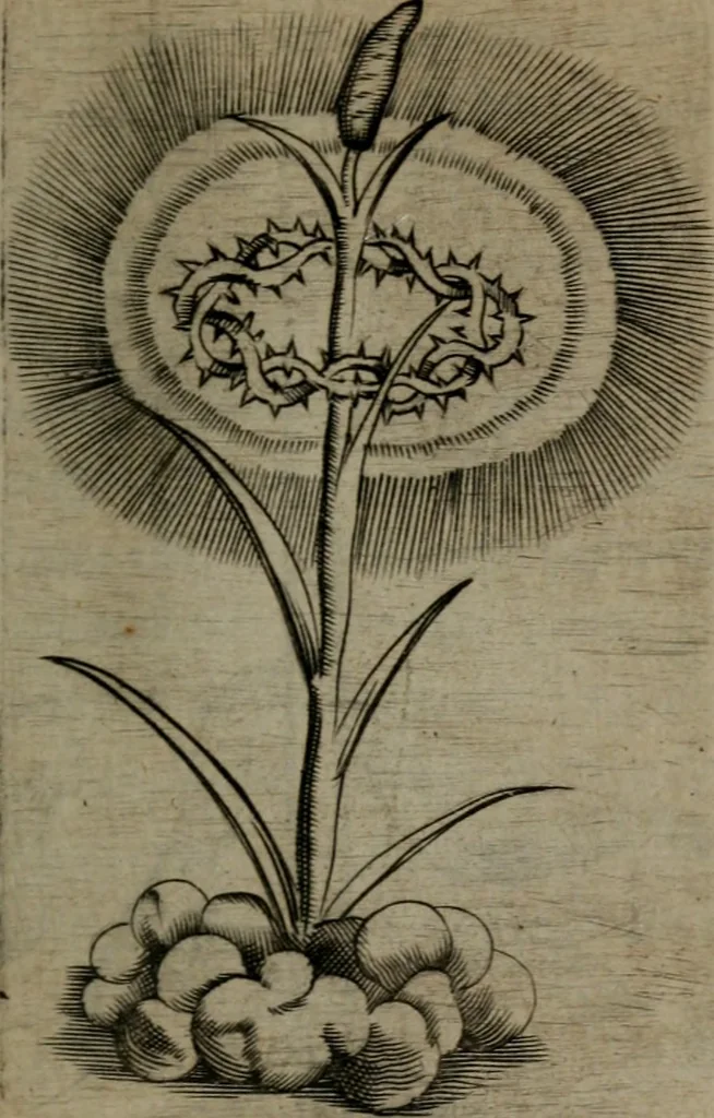 An illustration from Devises heroiques, et emblemes, 1614, leaf 308
