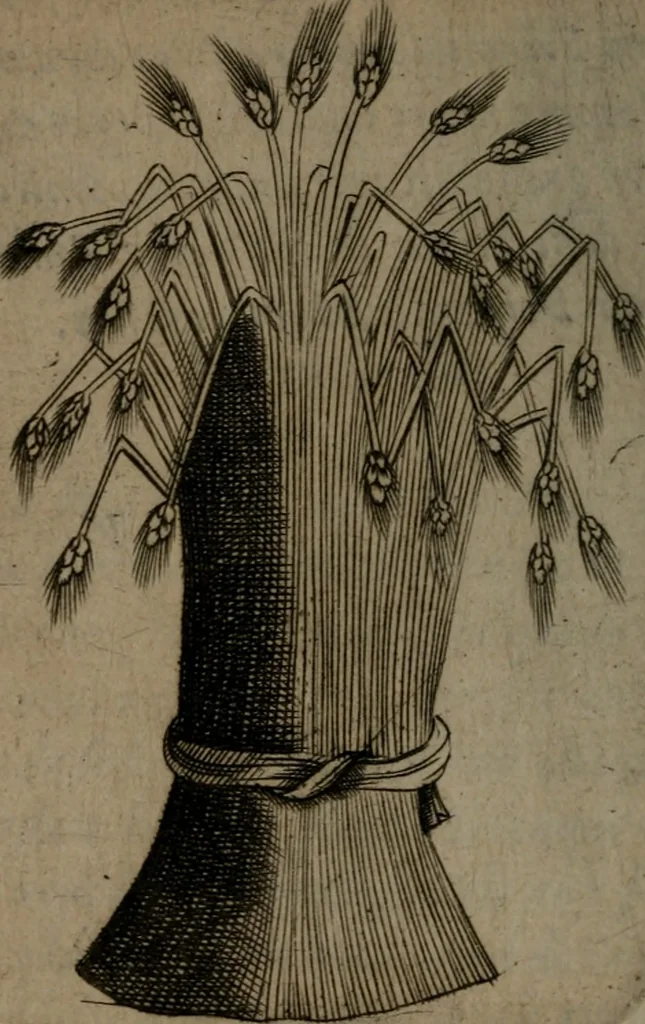 An illustration from Devises heroiques, et emblemes, 1614, leaf 313