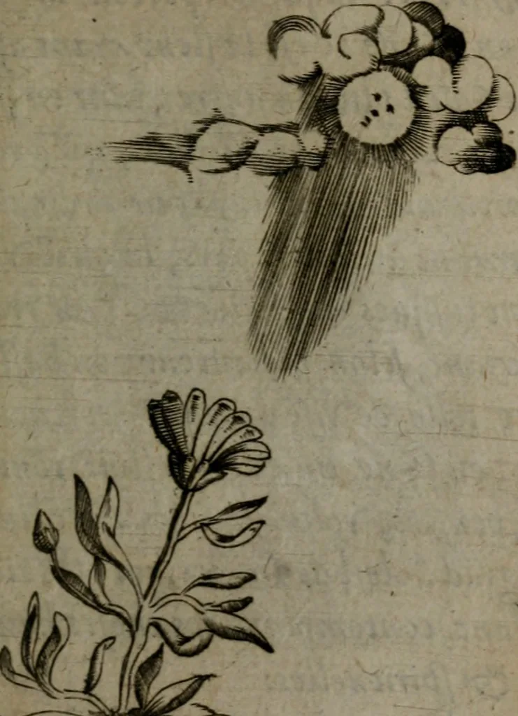 An illustration from Devises heroiques, et emblemes, 1614, leaf 52